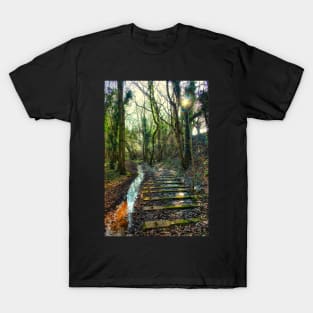 Puddles on the Tracks T-Shirt